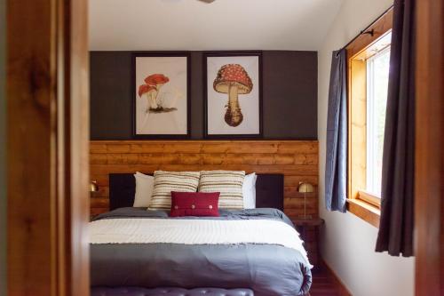 Backwoods Cabins - featured photo