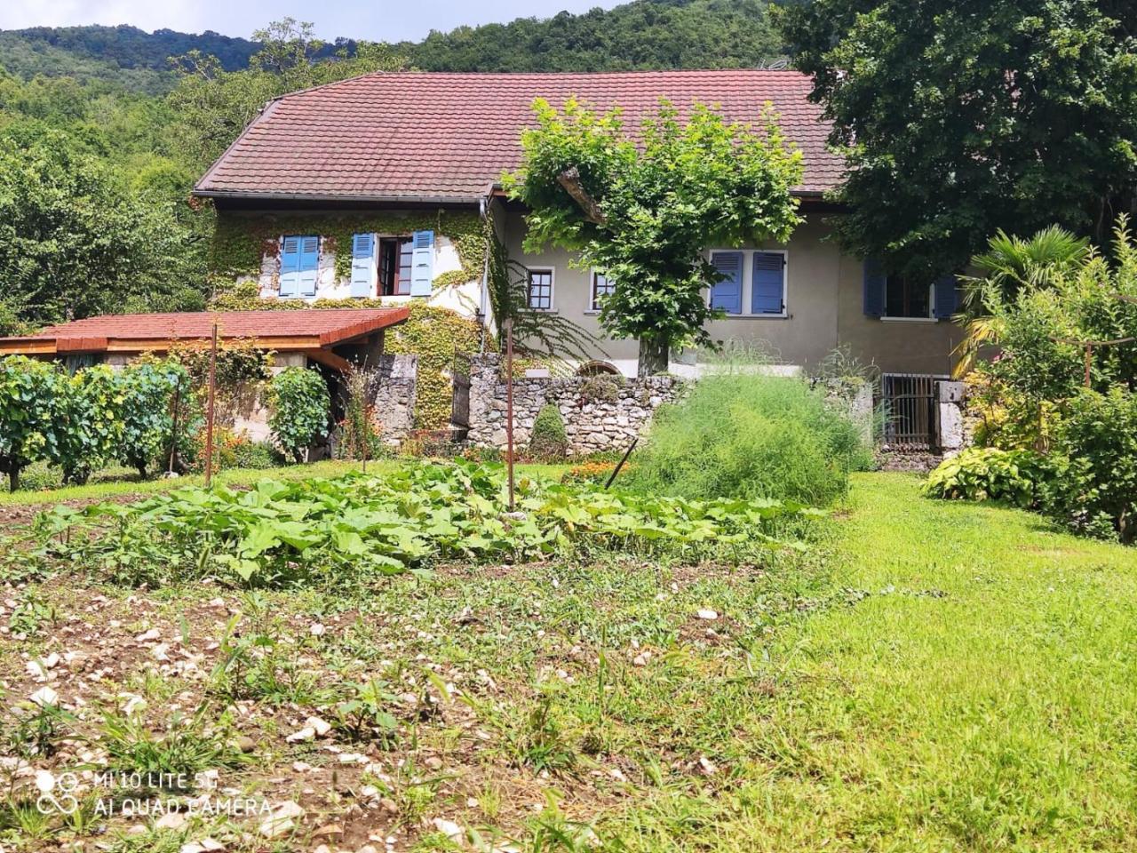 Du Vent Dans Les Arbres 120m2 Belle Vue Sur Le Lac — hotel in Chindrieux
