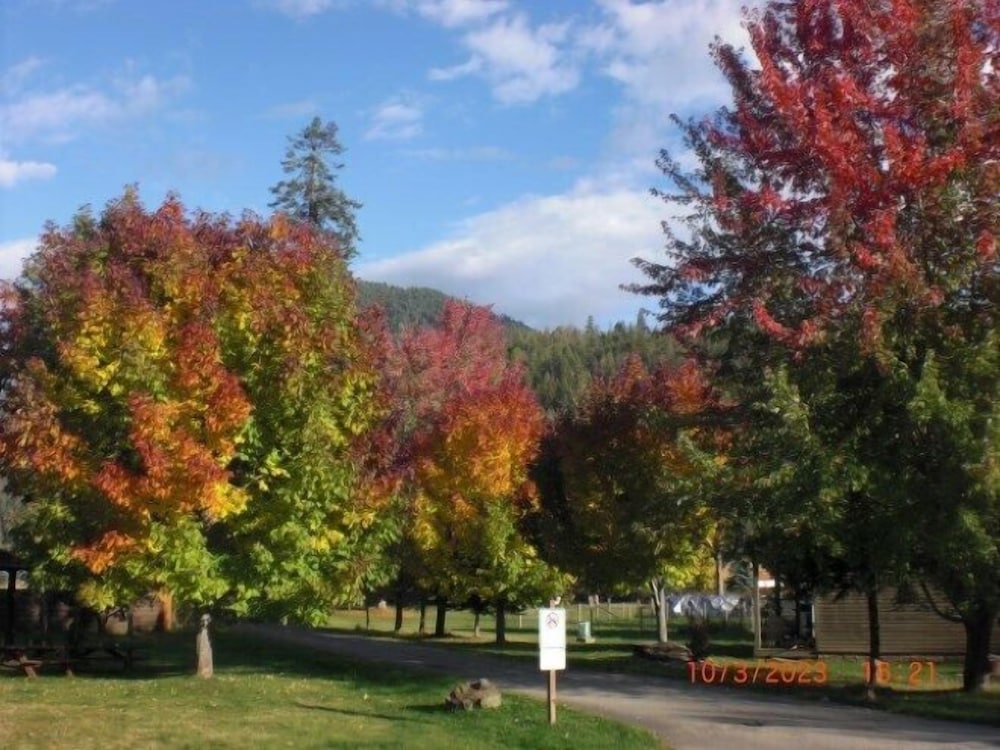 Clark Fork Lodge - photo 31