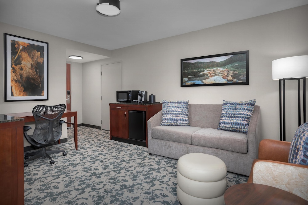 Hilton Garden Inn Denver Downtown - photo 14