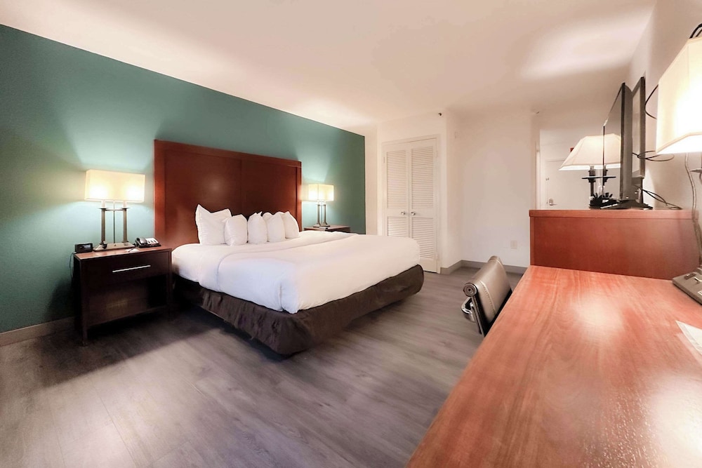 The Adventure Hotel by the parks - photo 26