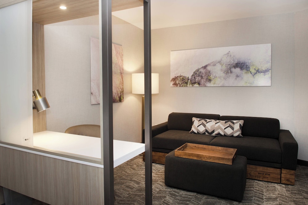 SpringHill Suites by Marriott Seattle Issaquah - photo 12