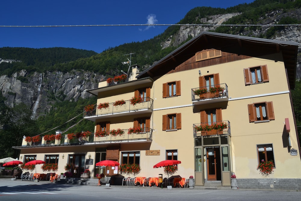 Hotel Monte Giove pet-friendly hotel Premia