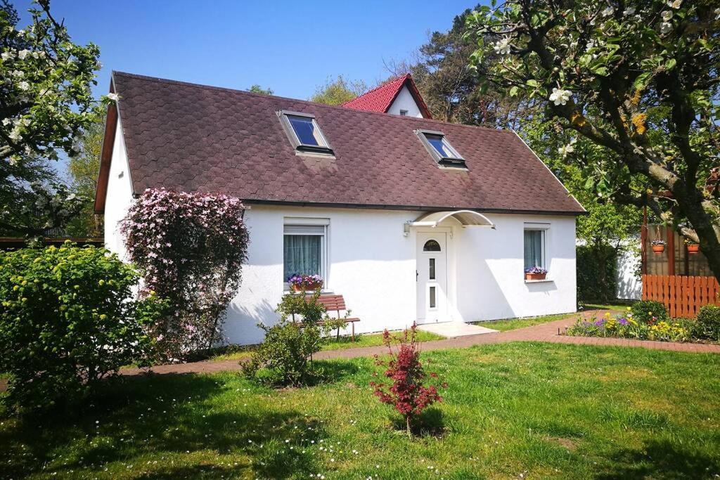 Ferienhaus im Igelbau - last minute hotel in Unknown City