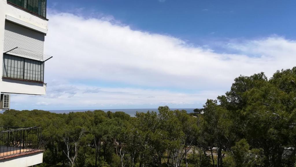 Bosmar 5A in Pals, Spain