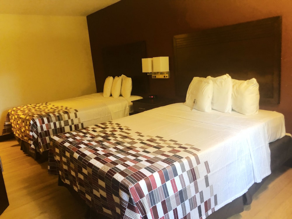 Evergreen Inn & Suites Portland - photo 7