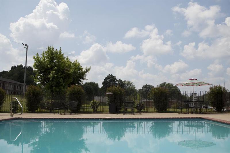 Red Roof Inn & Suites Jackson TN - photo 23