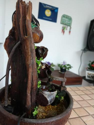 Hospedaria Gaúcha — Penha — photo 4