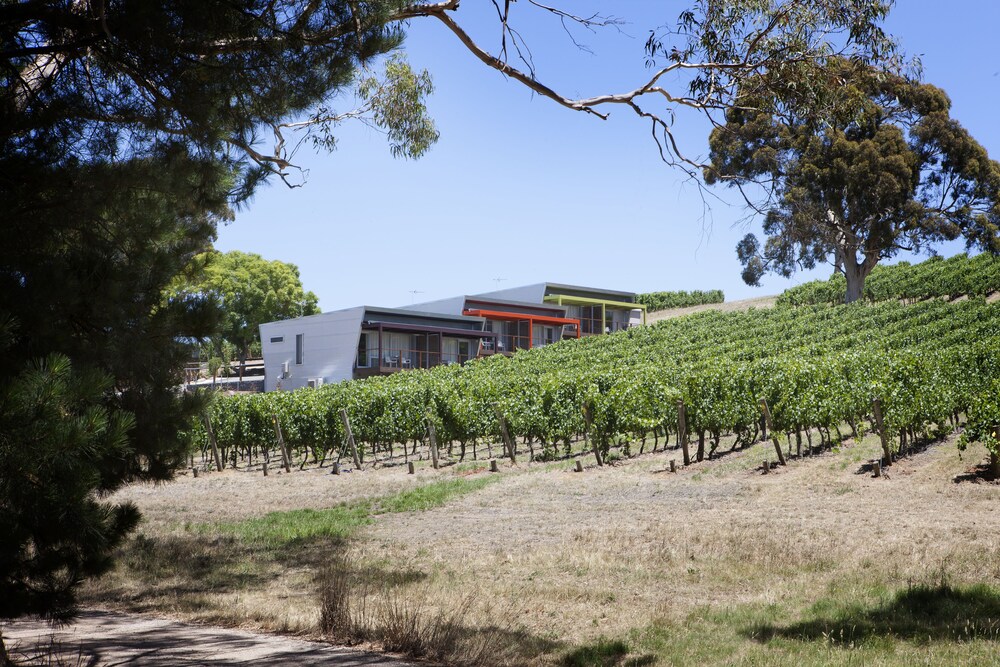 Longview Vineyard — Macclesfield — photo 2