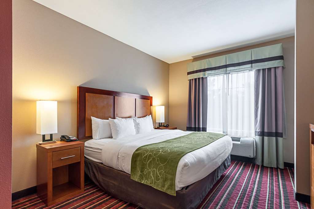 Comfort Suites Sulphur Lake Charles - photo 18