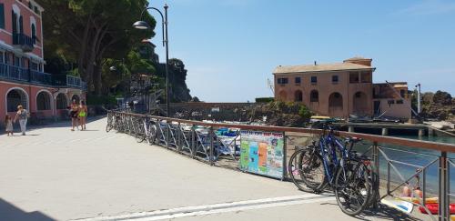 Villa Mare Blu — Levanto — photo 5
