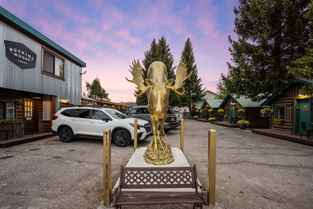 The Bucking Moose - photo 128
