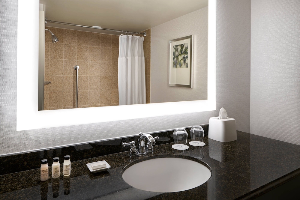 Delta Hotels by Marriott Chesapeake Norfolk - photo 19