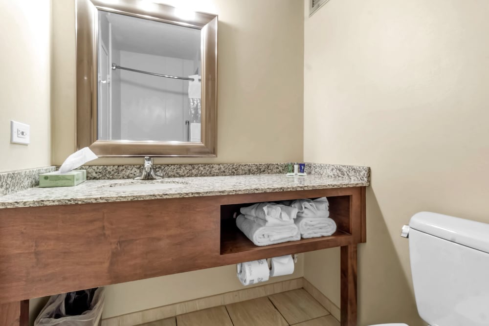 Buffalo Airport Hotel - photo 53