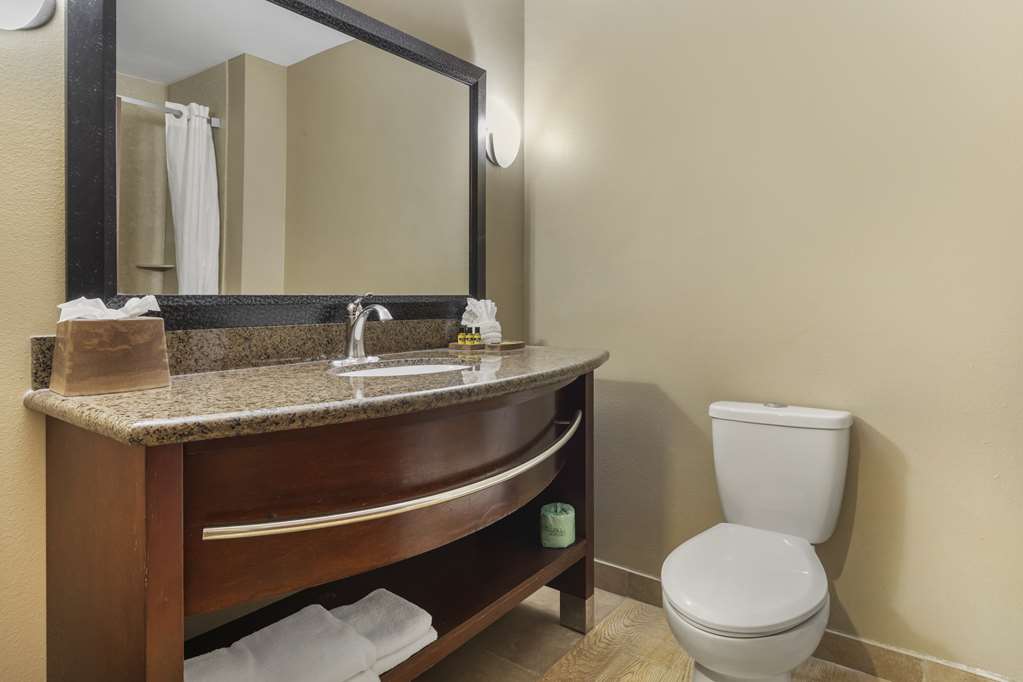 Best Western Plus Texoma Hotel & Suites - photo 19
