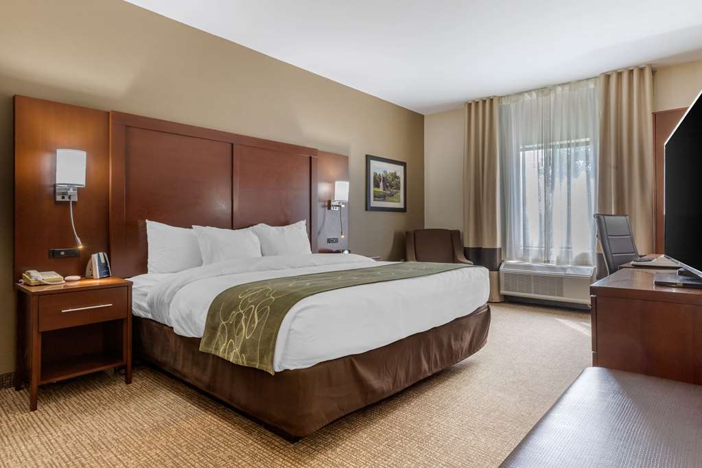 Comfort Suites Johnson City near University - photo 8