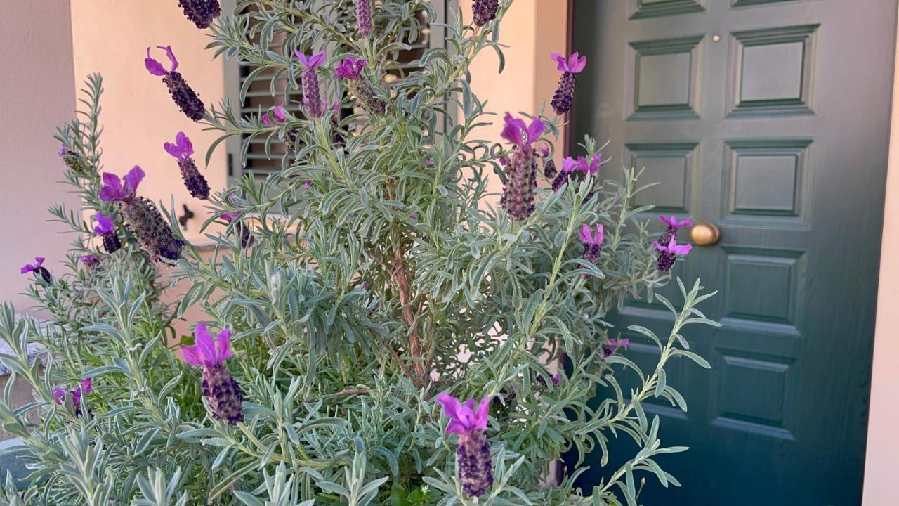 A Due Passi Dalla Citta — hotel in Selargius