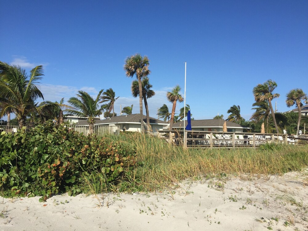 Surf Studio Beach Resort - photo 69