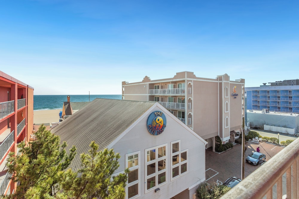 Americana Motor Inn Oceanfront - photo 33