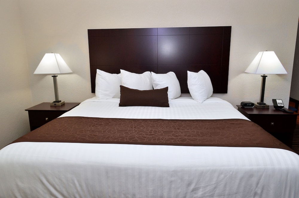 Cobblestone Inn & Suites Manning - photo 25