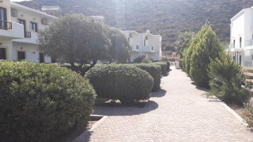 Hotel Orama Matala — Unknown City — photo 4