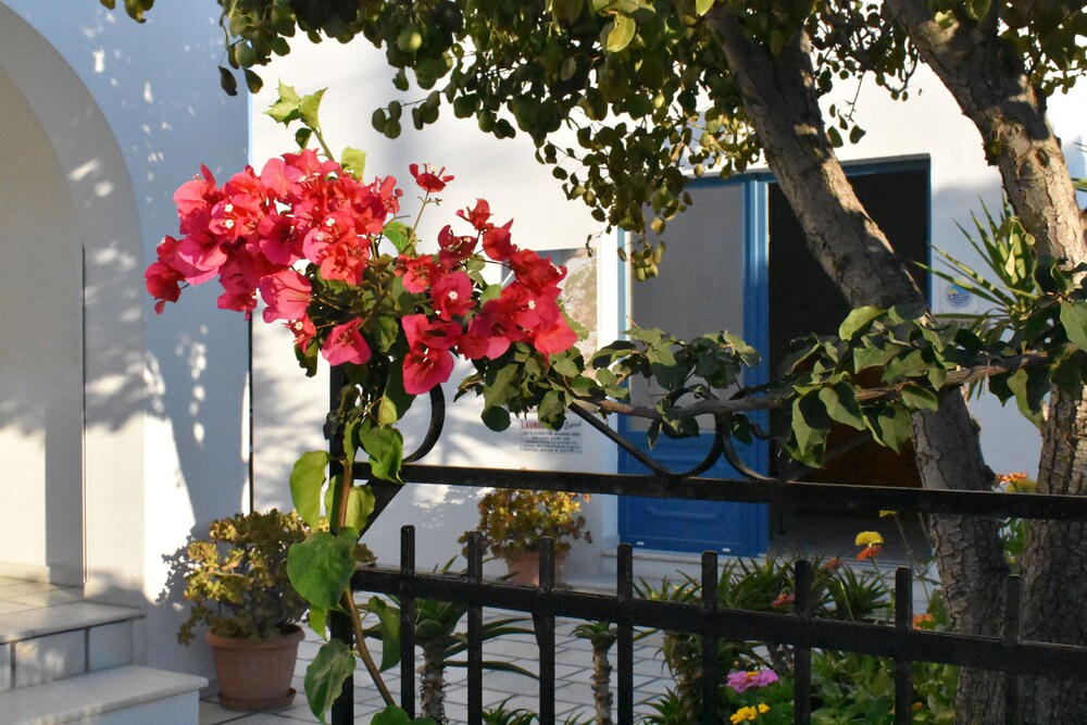 Dedalos Studios Naxos — Naxos — photo 3