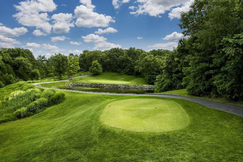 The Links At Thousand Hills - photo 33