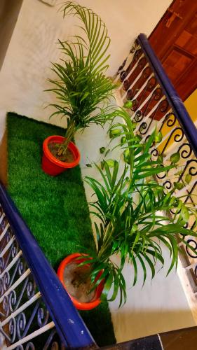 SK Residency — Varanasi — photo 4