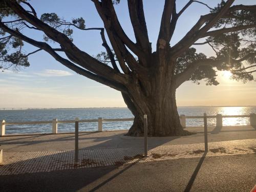Un Cocon Face a la Plage in Saint-Trojan-Les-Bains, France