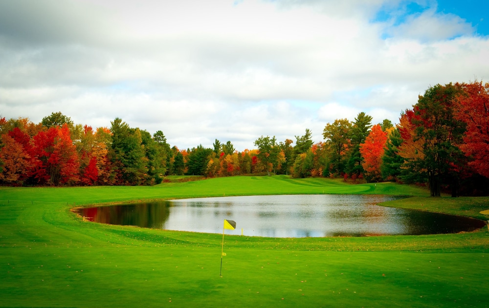 The Loon - photo 29