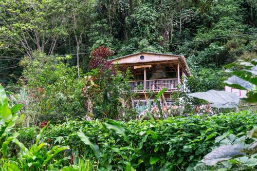 Mi Bohío Trekking in Salento, Colombia