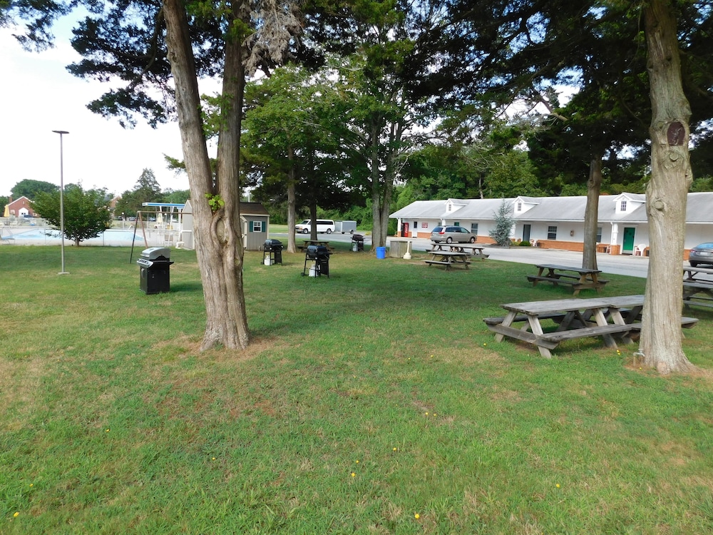 Hyland Motor Inn - photo 34