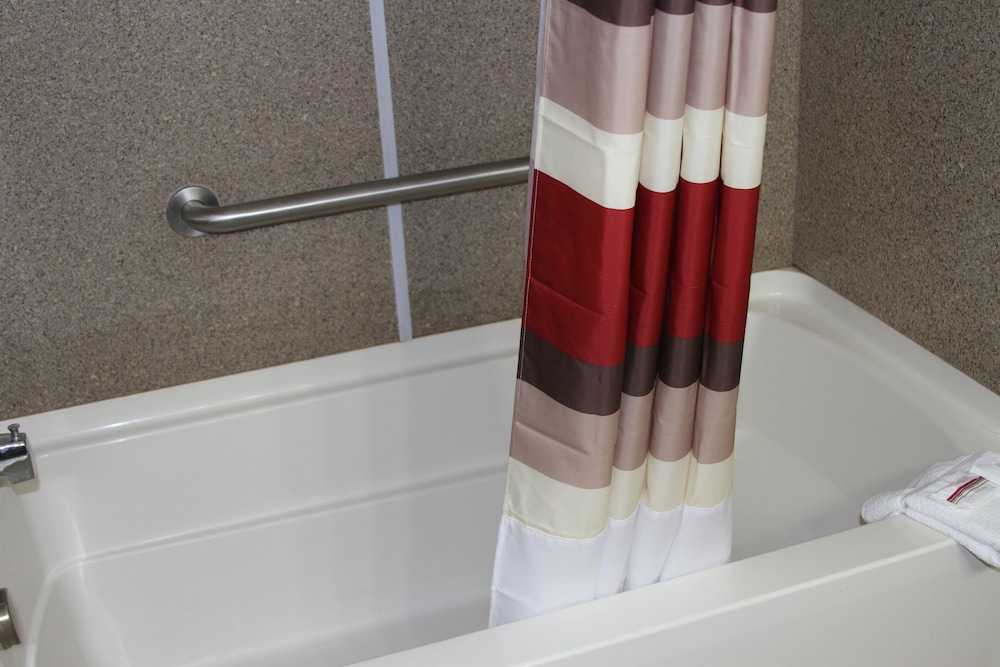 Red Roof Inn & Suites Detroit Melvindale Dearborn - photo 12