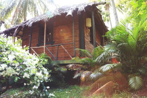 Indus Valley Ayurvedic Centre in Mysore, India