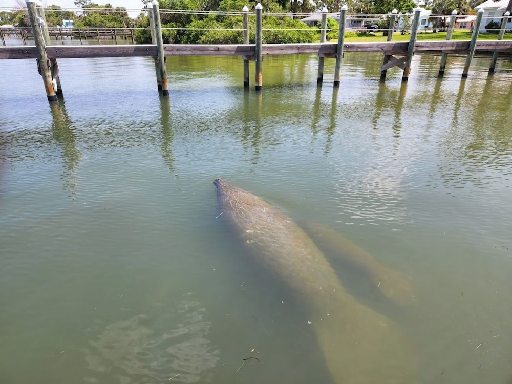 Paradise Cove at Lemon Bay - photo 73