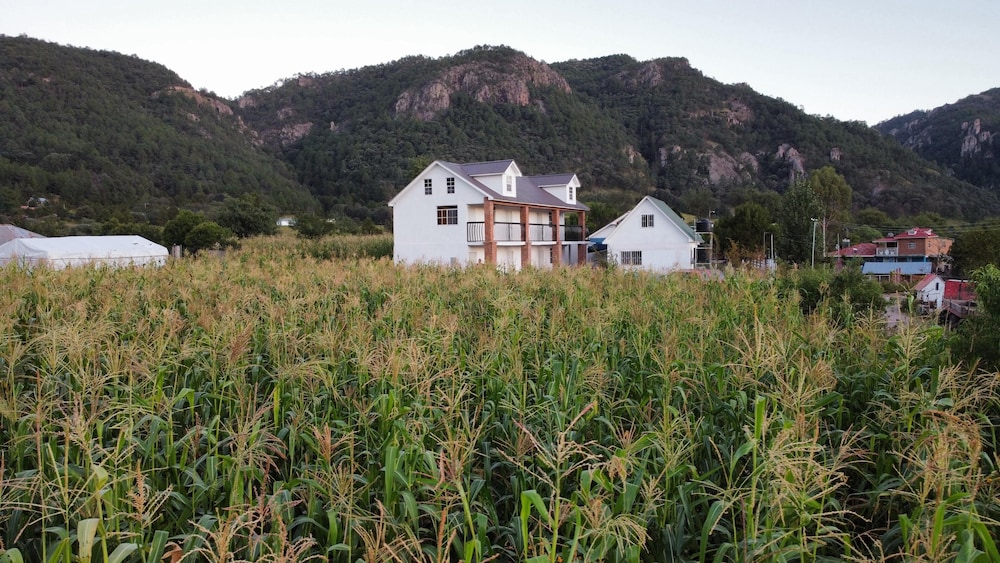 Hotel Valle de Cerocahui — hotel in Urique