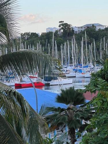 Duplex Marina gosier vue Mer et bateaux équipé d'une citerne reliée à l'eau de ville — 4-Star Luxury Hotel in Le Gosier, Guadeloupe