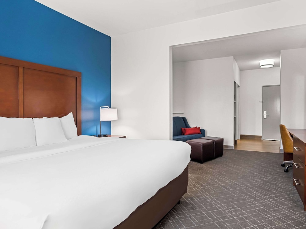 Comfort Suites Lindale Tyler North - photo 15