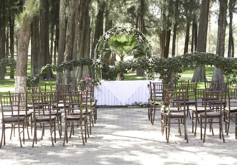 Outdoor wedding area