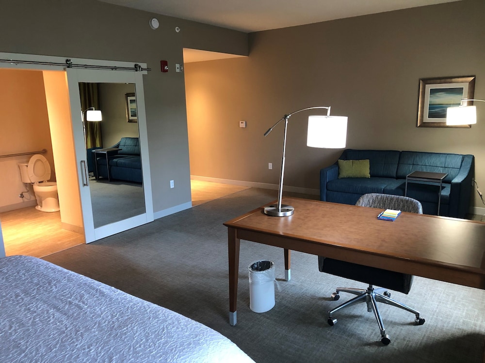 Hampton Inn & Suites Tampa Busch Gardens Area - photo 8