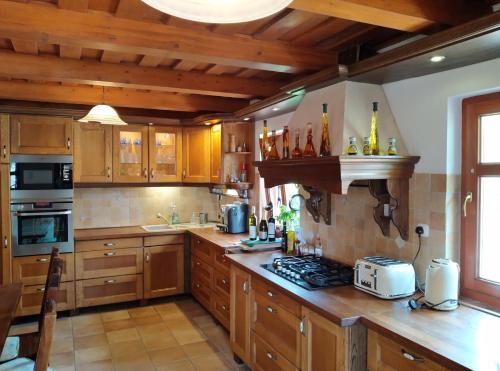 Vidra in Tiszafured, Hungary