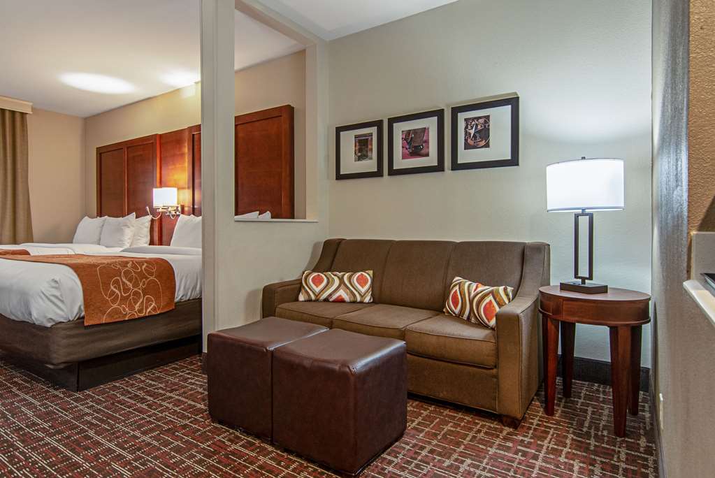 Comfort Suites NW Dallas Near Love Field - photo 36