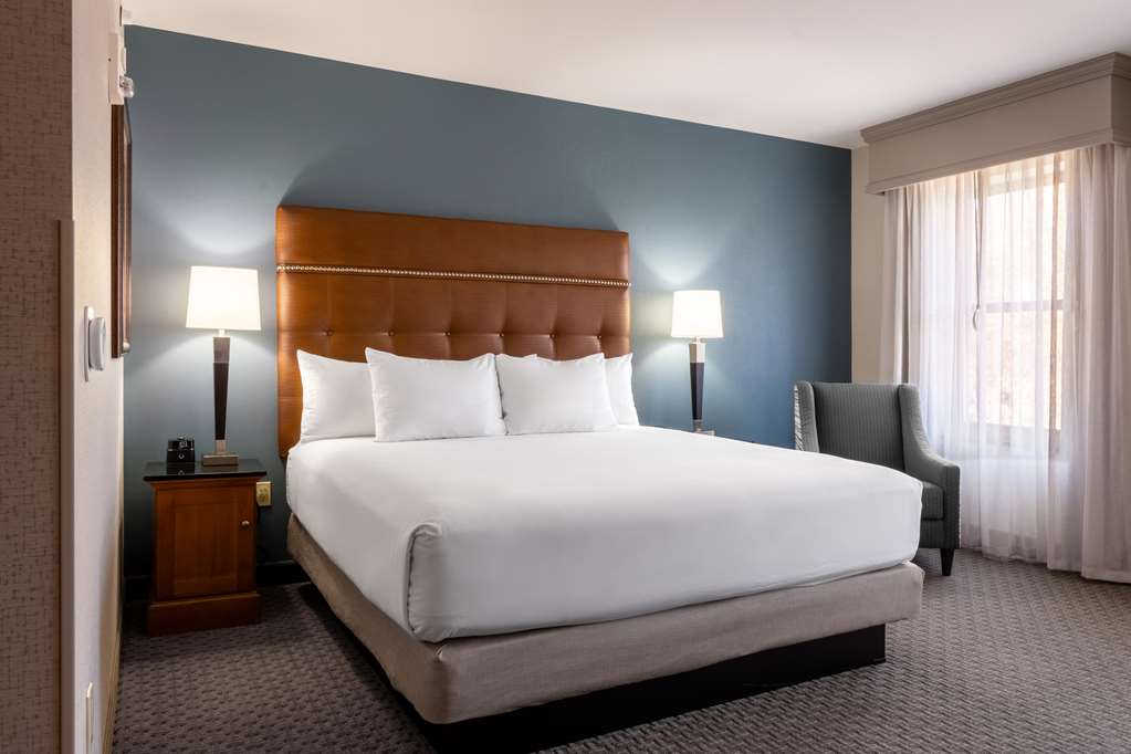 Drury Plaza Hotel Broadview Wichita - photo 35