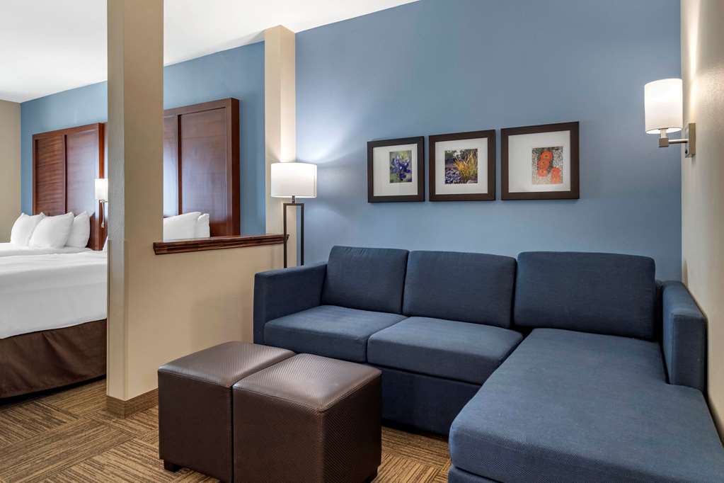 Comfort Suites Cedar Park Austin Northwest - photo 14