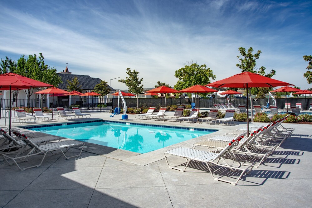 Vines RV Resort - photo 15