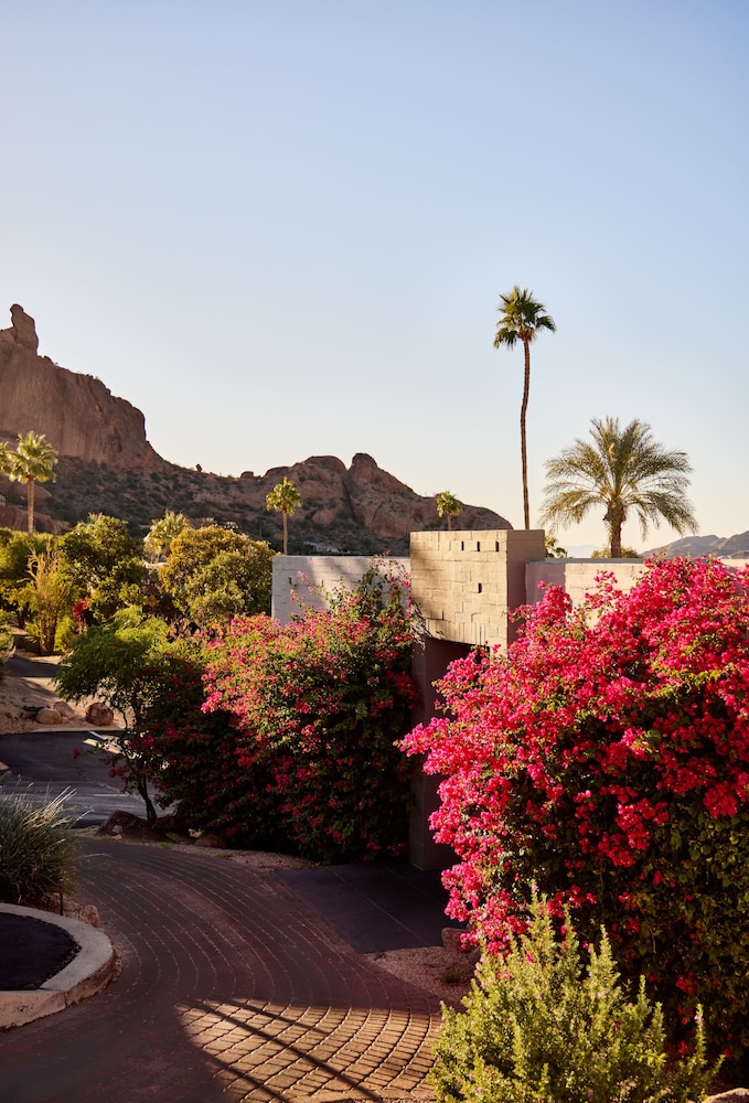 Sanctuary Camelback Mountain Resort and Spa - photo 114