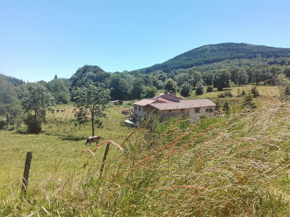 Le Moulin De La Fortie — Thiers