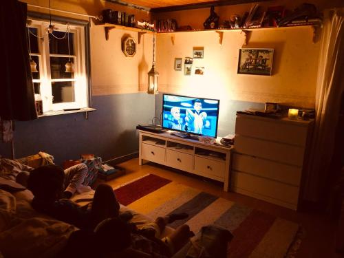 Schwedenhaus Alleinlage — Bergkvara — photo 4
