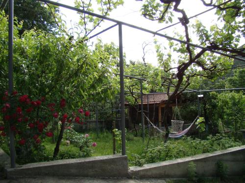 Guest House Ucha
