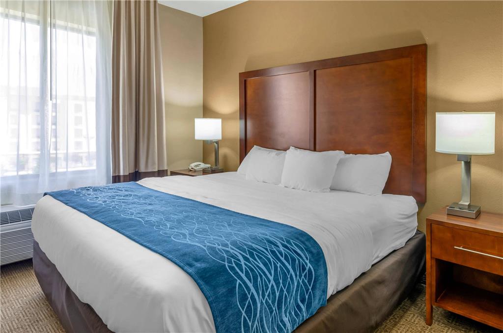 Comfort Inn & Suites Lynchburg Airport University Area - photo 22